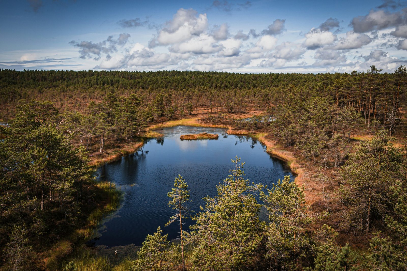 Lahemaa National Park Estonia travel guide